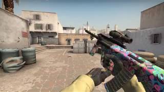 AUG | Death by Puppy - CSGO Skin Showcase