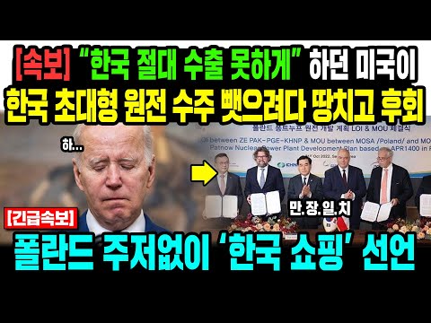 [해외반응] “<strong>한국</strong> 절대 수출 못하게” 하던 미국이 <strong>한국</strong> 초대형 <strong>원전</strong> <strong>수주</strong> 뺏으려다 땅치고 후회. 폴란드 주저없이 한국쇼핑