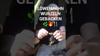 Löwenzahn- Kaffee & essbare Wurzeln, Dandelion Season, Coffee and Edible Roots #shorts
Waldhandwerk® Kurs-Infos & Termine: https://www.waldhandwerk.de/kurs-informationen/
Löwenzahn gebacken im Blatt und löwenzahn kaffee Zubereitung am Lagerfeuer
#Waldhandwerk #Bushcraft #Survival #OutdoorSkills #Wilderness #Skills #Fire #FireMaking #Shelter #Water #löwenzahn #kräuter #kaffee #cafe Löwenzahn- Kaffee & essbare Wurzeln, Dandelion Season, Coffee and Edible Roots #shorts