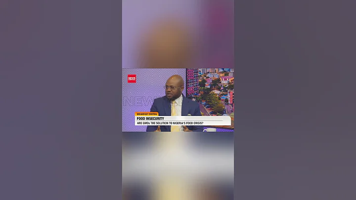 GMOs won’t solve Nigeria’s food crisis – Segun Adebayo