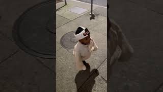 He Said I Know Where Am Going