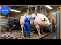 Increíbles procesos de producción con máquinas y Transportando de esta manera a otro nivel #1