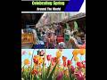 The Colors of Spring: A Global Tour of Nature’s Rebirth