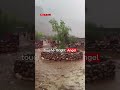 Inondations Grand Canyon #youtubeshorts #shorts