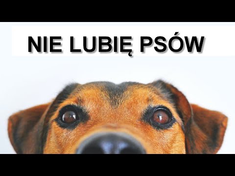 NIE LUBIĘ PSÓW