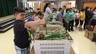Farmer's Market at Sunnymeadows Elementary