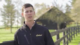 Claiborne Farm 2018 Update