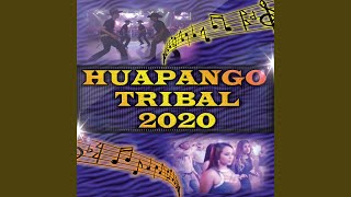Huapango Tribal 2020 - DJ Moys