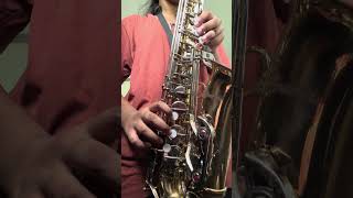 Tujh Mein Rab Dikhta  Sax Cover By Amelia  fy saxophone saxcover hindi hindisong  sax