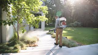 Are Ticks Dangerous