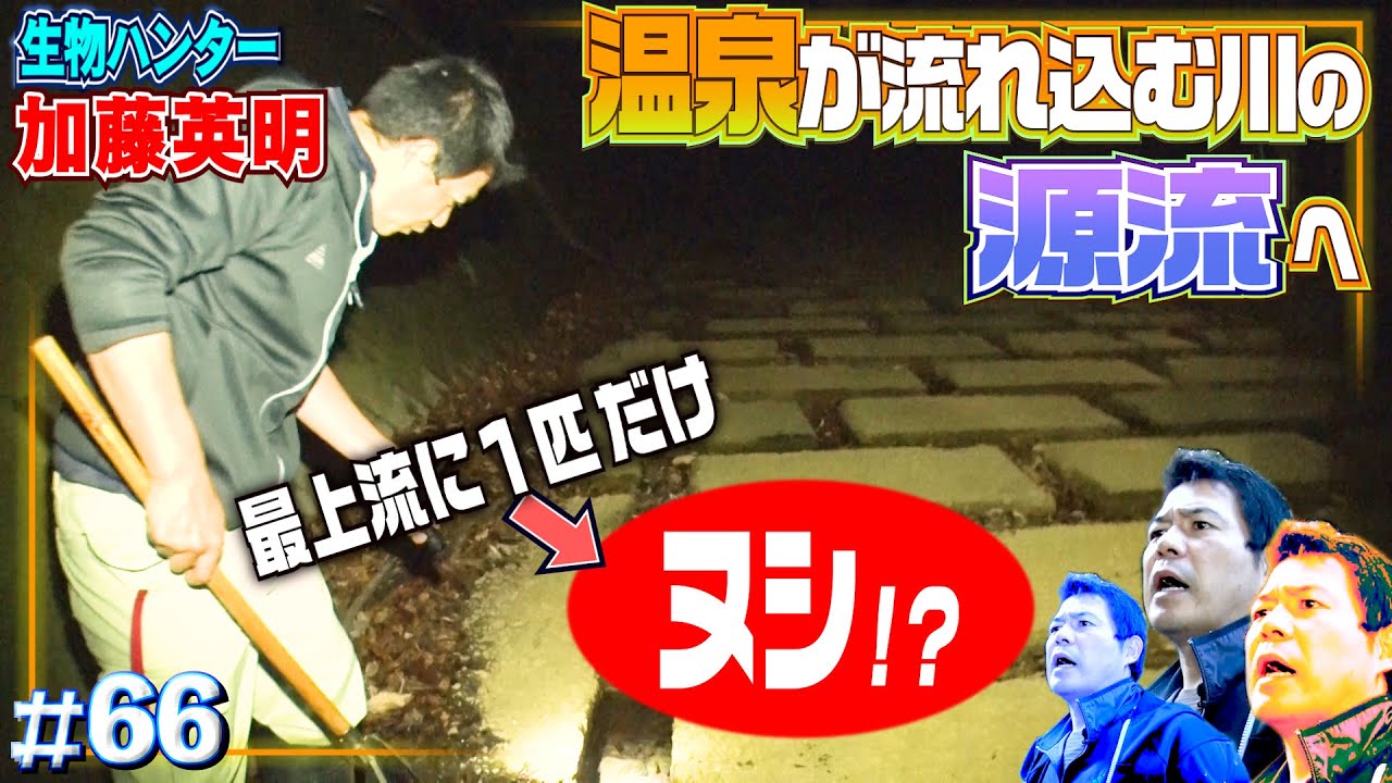 冬の温泉街の川の源流へ！世界最大のカエルに遭遇？山奥でも湯気立つあたたか〜い別府の最上流を調査！完結編【温排水・熱帯魚・異常繁殖】生物ハンター加藤英明