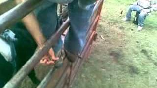 POZO DE IBARRA NAYARIT MÉXICO