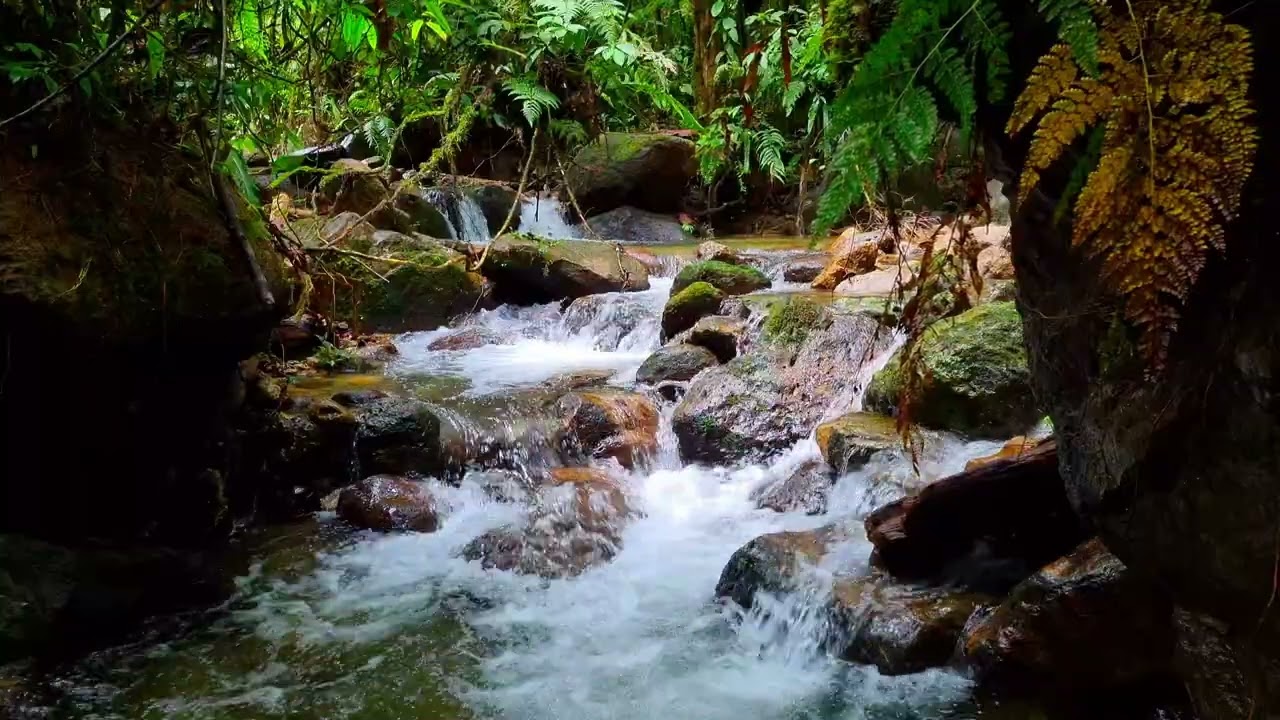 Soft River Ambience For Light Activity & Drowsy Calm | 1 Hour Nature Sounds to Unwind 4K