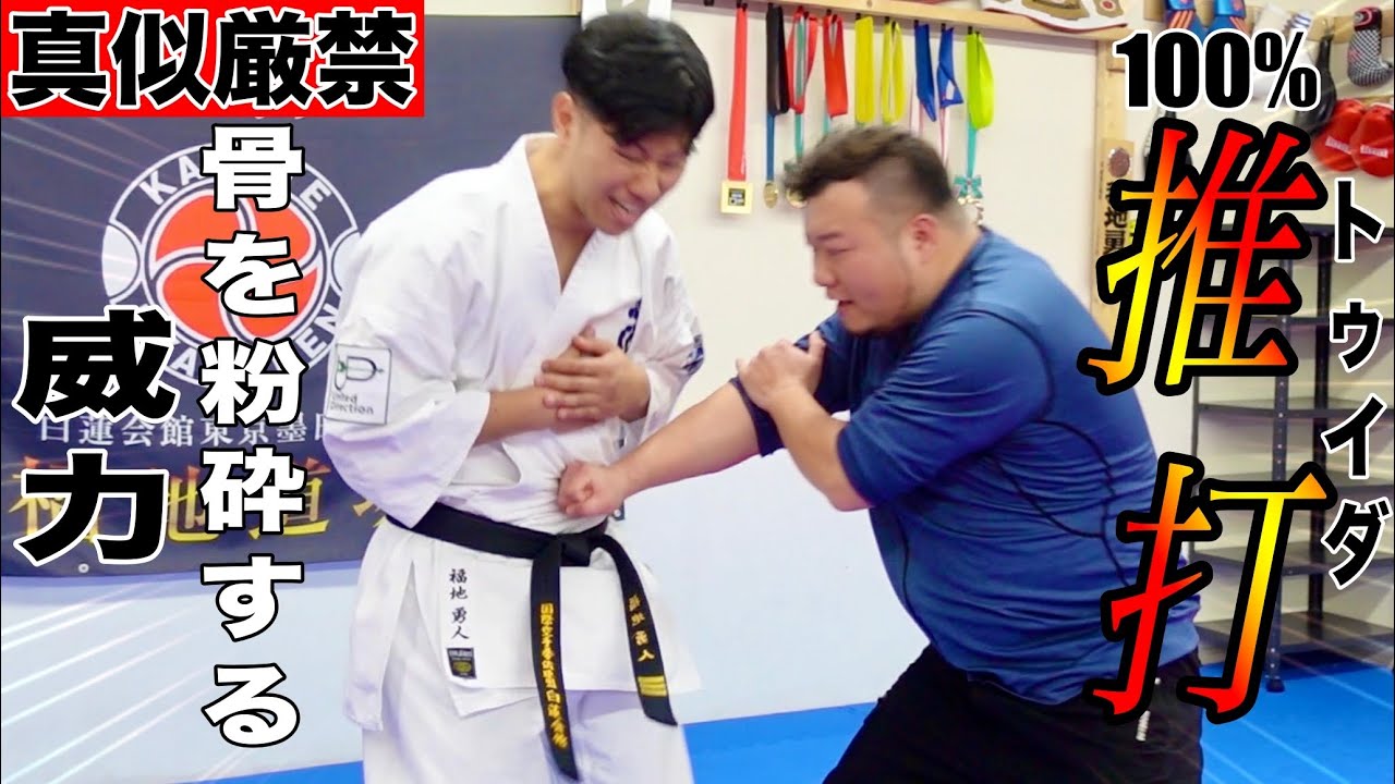 【軍事詠春拳】の1番ヤバい技【推打】の破壊力が想像を超えた