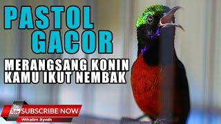TERAPI KONIN AGAR IKUT GACOR JADI NEMBAK !! COCOK BUAT PANCINGAN KOLIBRI NINJA - SUARA KONIN PASTOL