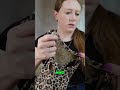 Cute Dress Haul: Leopard Print & Special Occasion Finds! #haul #kidsoutfitideas #lindsaylamba
