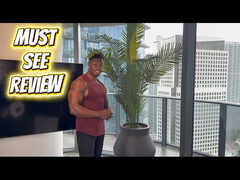 Must See Review Of The Quality Of This Artificial Palm Tree