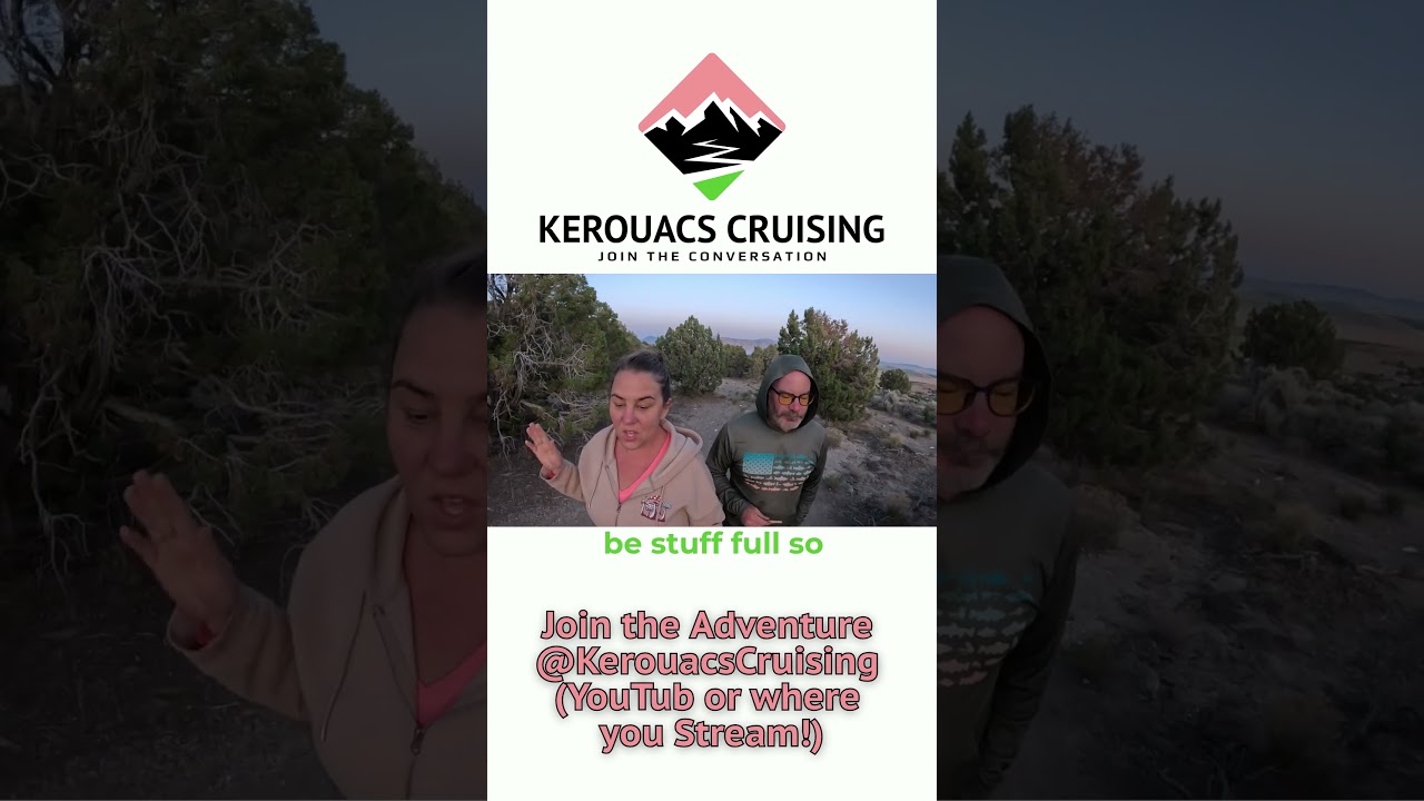 Exploring New Heights with Our Trailer