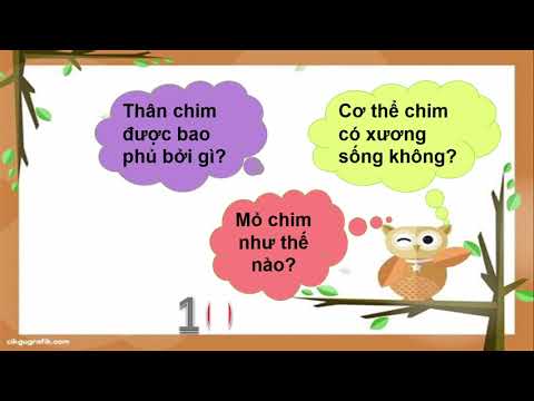 Bài giảng số 28 - TNXH lớp 3 - tuần 27: Chim