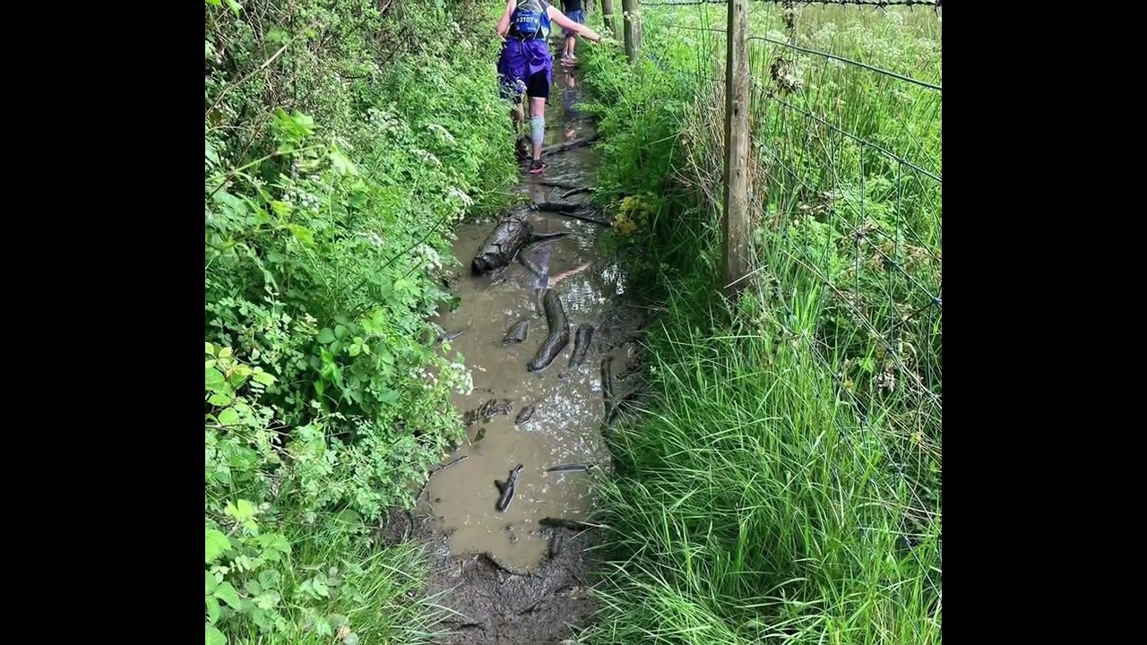 Lake District ultrachallenge 2025