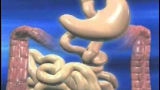 Weight Loss Gastric Bypass Surgery performed in IABS