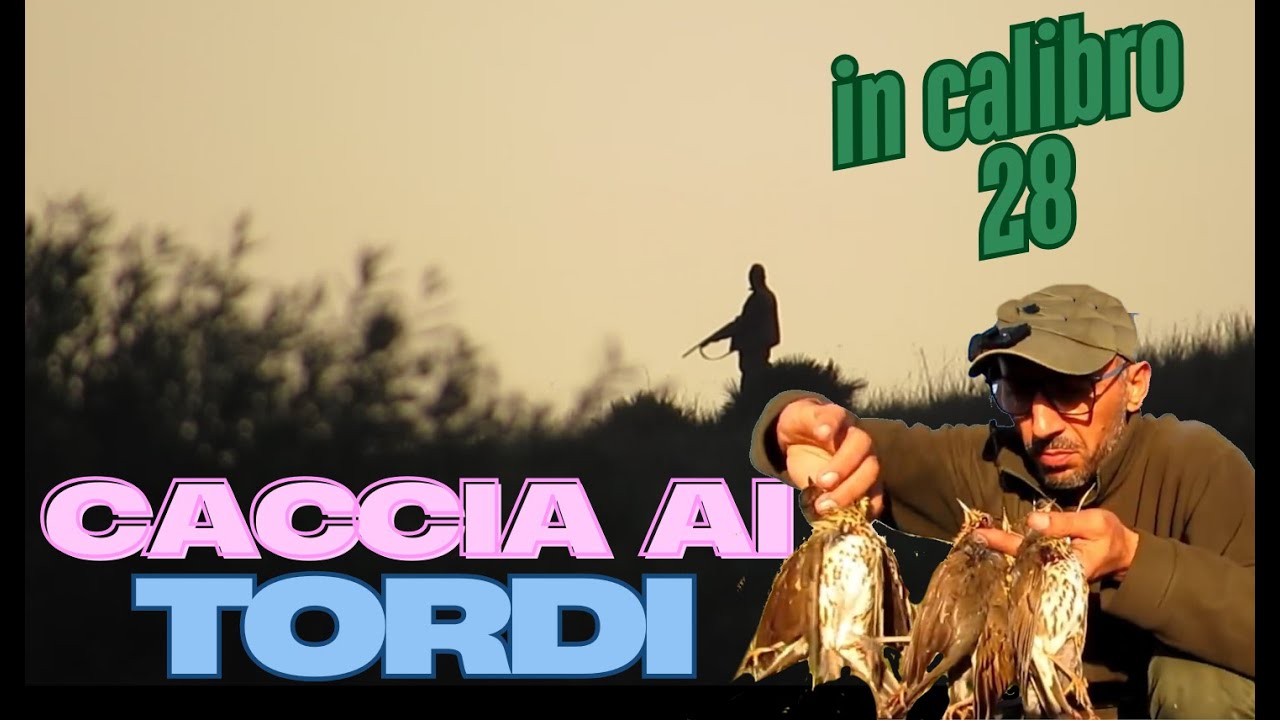 🇮🇹CACCIA: TORDI TRA PASTURA E RIENTRO 2025