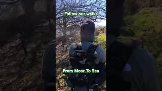 Follow our walks | Dartmoor walks #dartmoor #nature #walkinguk #hiking #devonwalks