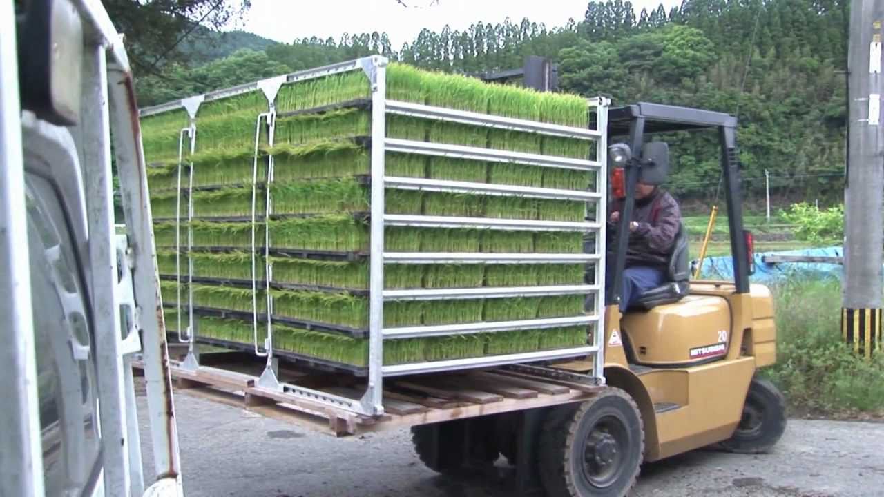 田植えの手伝い、運転、苗運び 松木農園5月田植えの準備 苗運び - YouTube