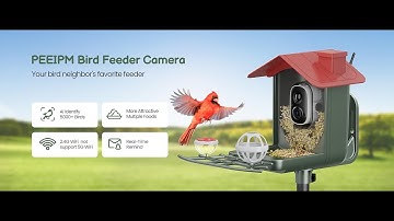 Smart Bird Feeder Cam | 2K AI Bird Recognition Solar Feeder for Outdoor Gardens
