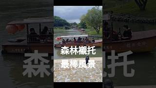 以森林美學搭配的藝術曾造就過中原文明，如同護岸及美化航道的最棒風景！#森林美學的應用 #2026 亞太傳統藝術節 #感官刺激 #主動昇華 #漸層次意境 #享受審美意味 （@Roy2-e6z）