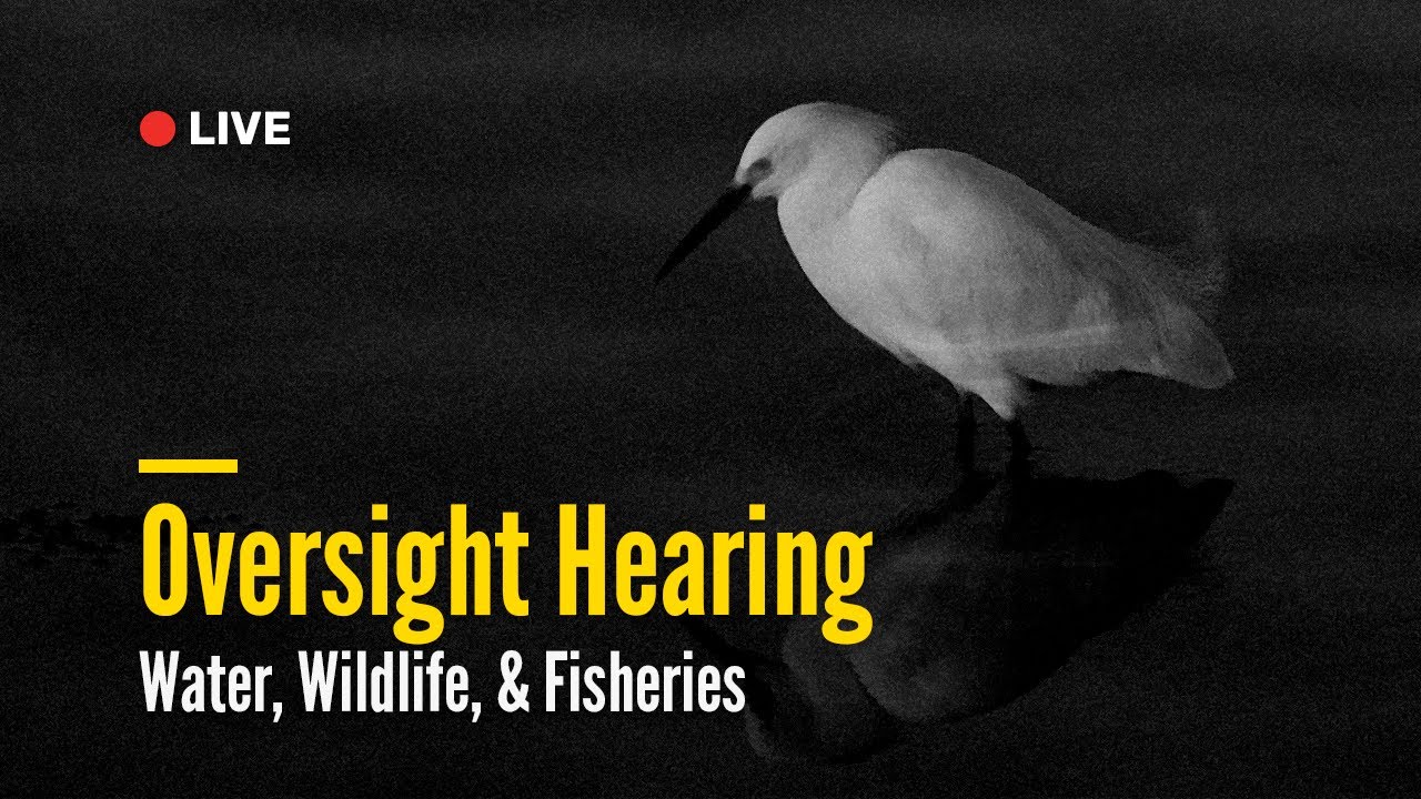 Water, Wildlife, & Fisheries Oversight Hearing | April 30, 2025