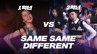 [방과후 설렘] 1학년 VS 2학년 - Same Same Different 무대 비교 | 네이버 NOW. Net Worth
