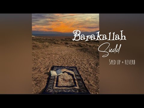 Barakallah  - Siedd | Sped up + reverb #barakallah 