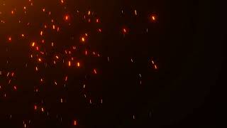 Particle Loop Animation #2