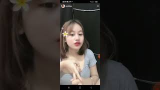 Cechila Live Bar Bar