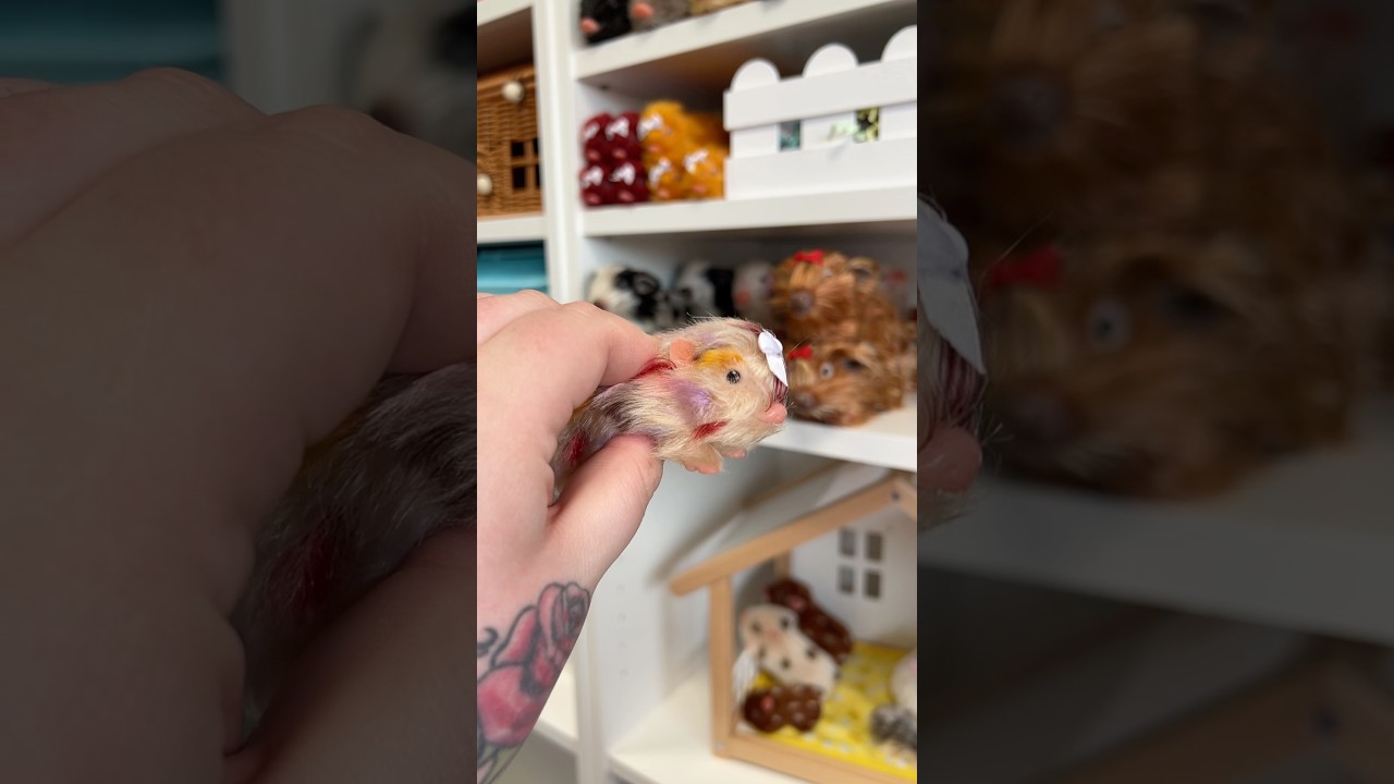 Squishy silicone baby piglets 😍 (psa: they are not fidget toys) #micropig #minipig #babypig #piglet