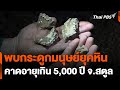 นักสำรวจพบกระดูกมนุษย์ยุคหินในถ้ำ จ.สตูล | วันใหม่ ไทยพีบีเอส | 16 พ.ค. 67