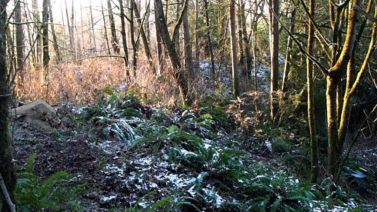 Tigatu Training in The Woods