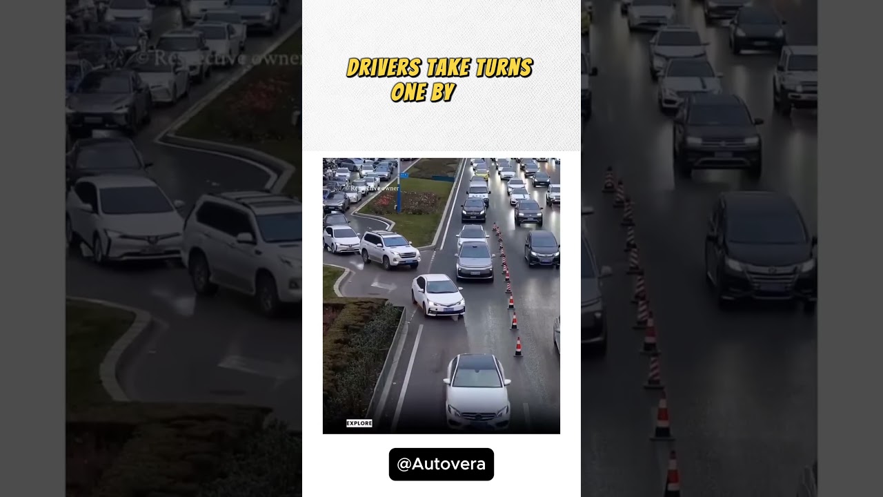 This Is How Traffic Should Actually Work 😱