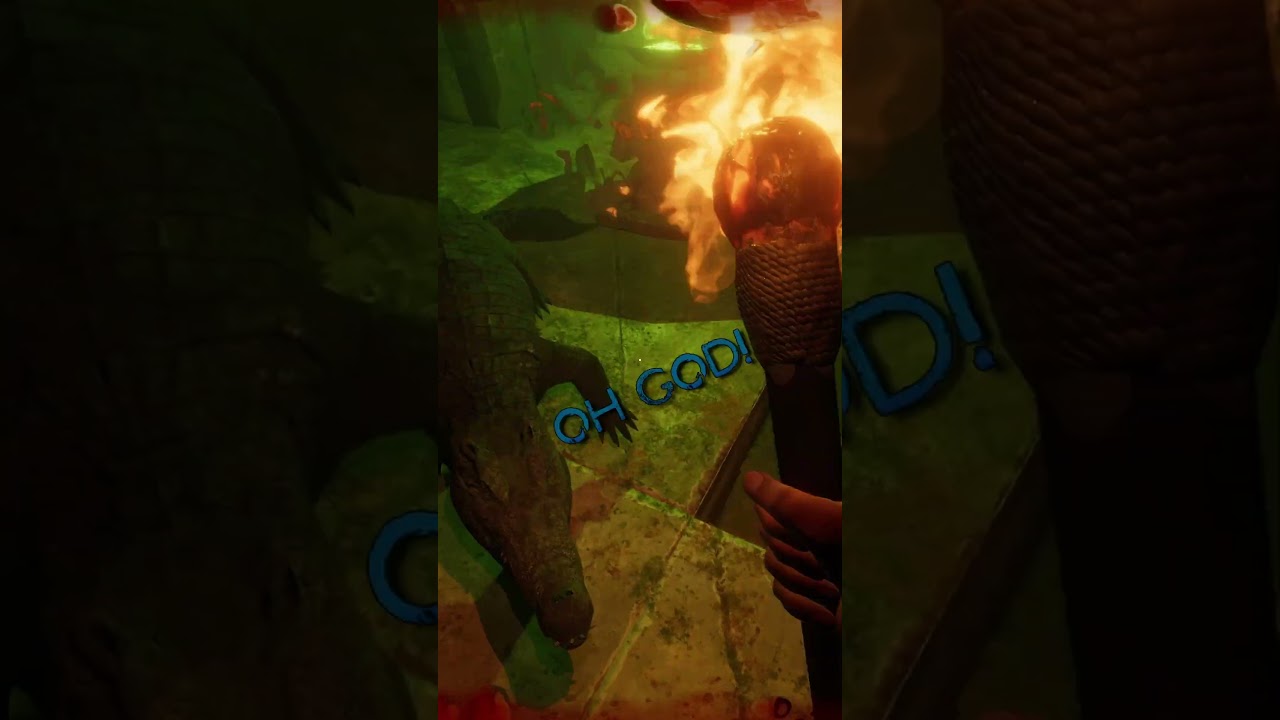 The Crocodile Whisperer  