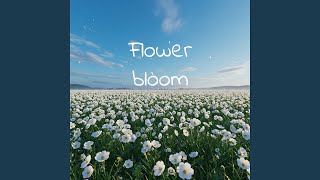 flower bloom
