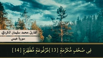 القارئ محمد سليمان الكردي سورة (عبس) بأداء عراقي نور القرأن