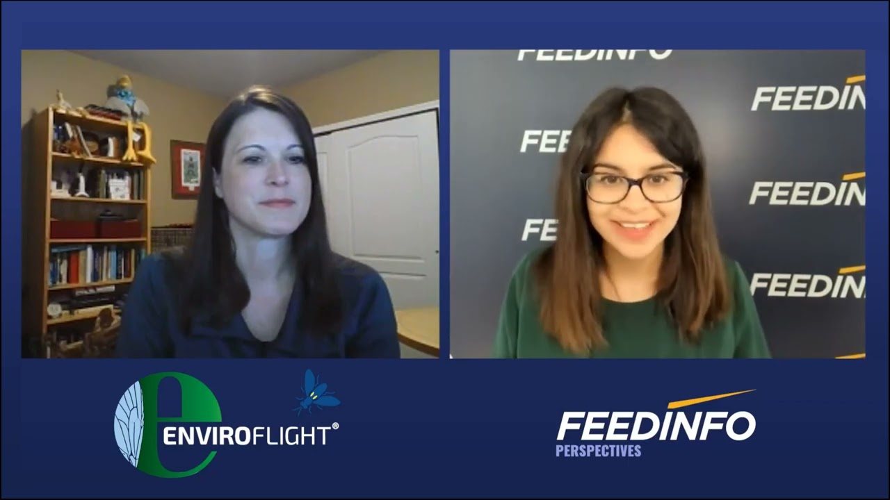 FeedInfo Perspectives Webinar - Insects in Animal Feed: The Inside Story