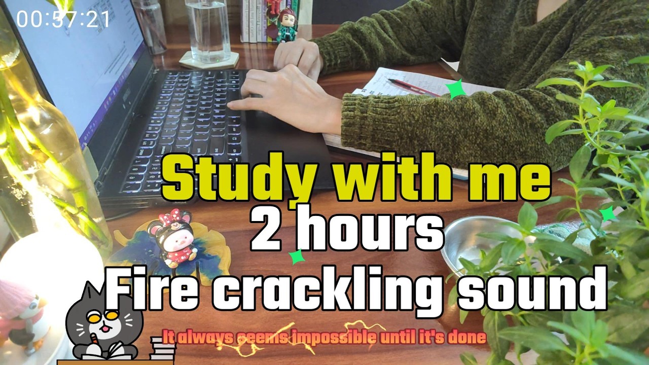 2 hour study with me | relaxing fire crackling sound, no break no music
