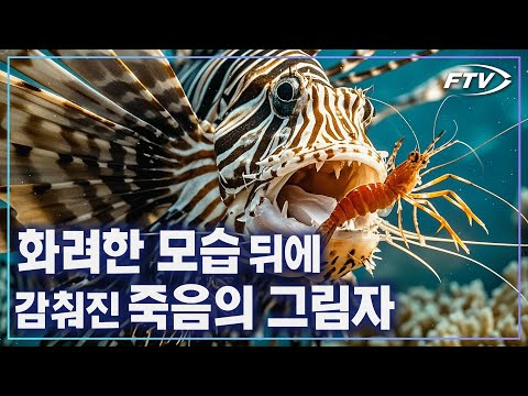 [3.<strong>쏠배감펭</strong>]