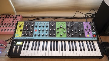 Moog Matriarch Ambient Randomized Arpeggiator Patch with Hologram Microcosm
