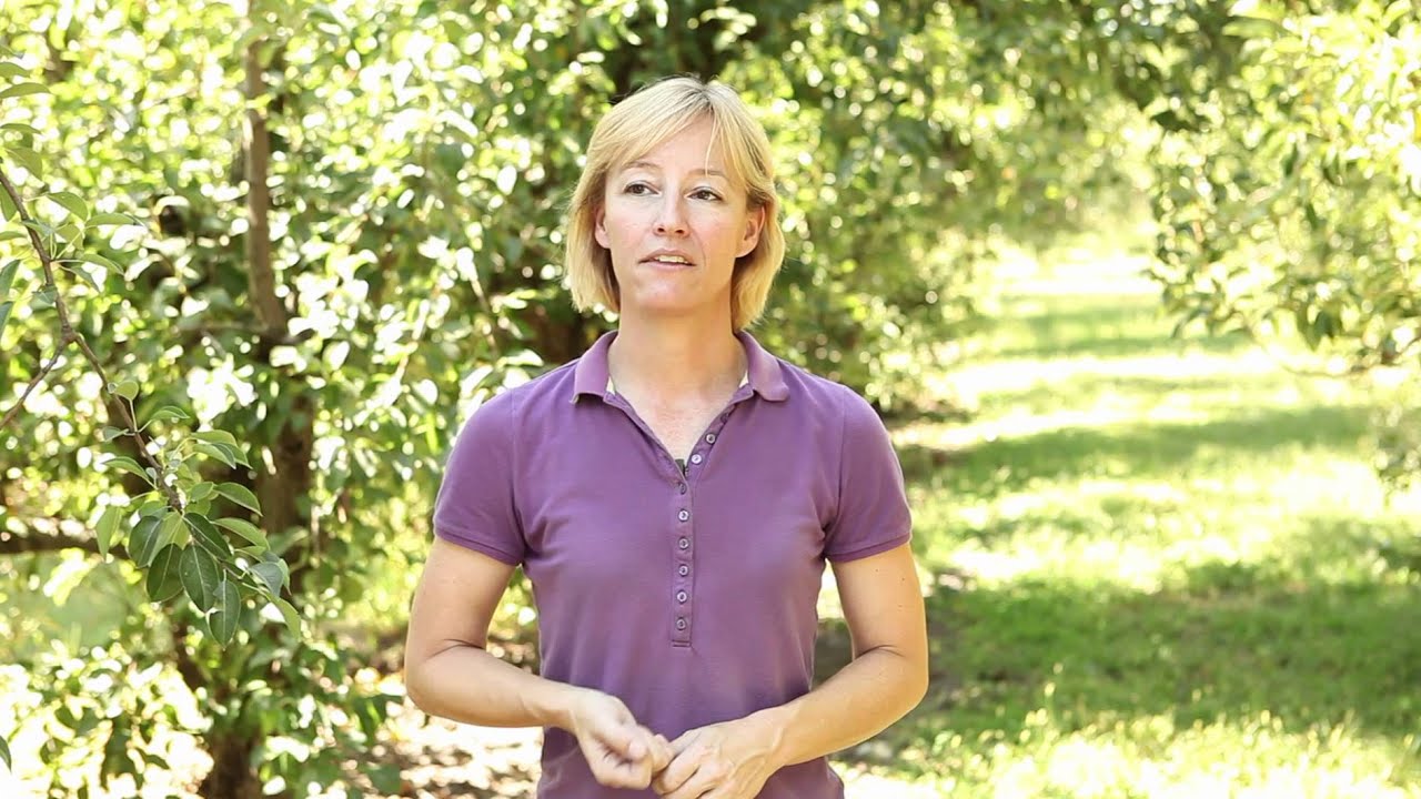 Meet Virginia Hemly Chhabra, California Pear Farmer