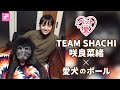 【ペット愛】咲良菜緒(TEAM SHACHI)× 愛犬のポール