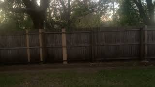 1780 Leyburn Court Jacksonville FL 32223