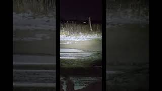 Game Changer New Wml - Olight Pl X